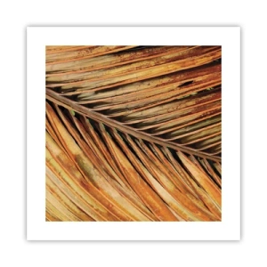 Póster - Oro de coco - 40x40 cm