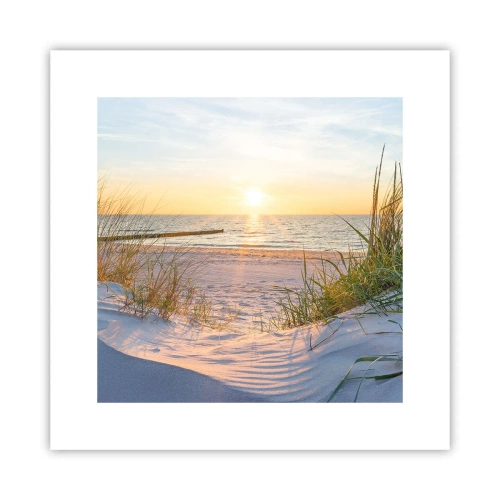 Póster - El sonido del mar, el canto de los pájaros, una playa virgen entre las dunas... - 30x30 cm