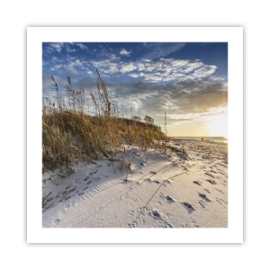 Póster - Invitación a un paseo - 50x50 cm