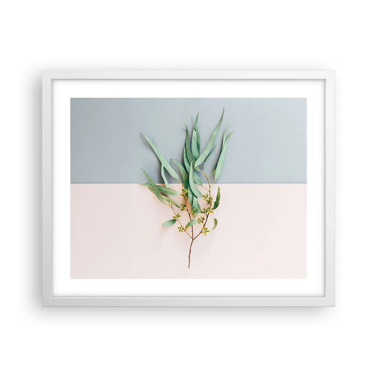 Póster en marco blanco - La sutileza del pastel - 50x40 cm