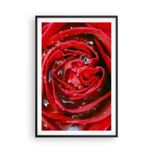 Póster en marco negro - En gotas de rocío - 61x91 cm