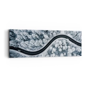 Cuadro sobre lienzo - Impresión de Imagen - A través de un bosque invernal - 90x30 cm