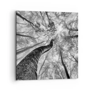 Cuadro sobre lienzo - Impresión de Imagen - Carrera hacia la luz - 70x70 cm