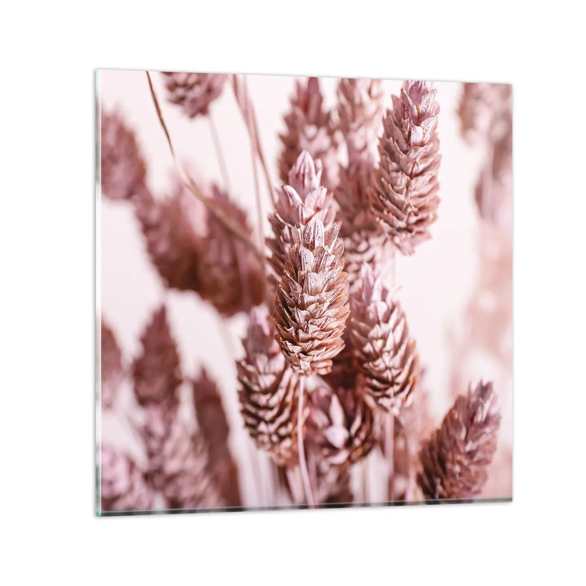 Cuadro sobre vidrio - Impresiones sobre Vidrio - Aparentemente discreto - 50x50 cm