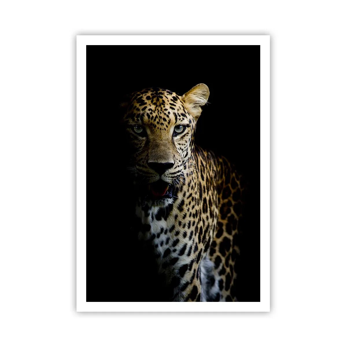 Póster - Belleza oscura - 70x100 cm