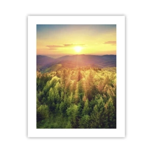 Póster - Desde lo alto - 40x50 cm