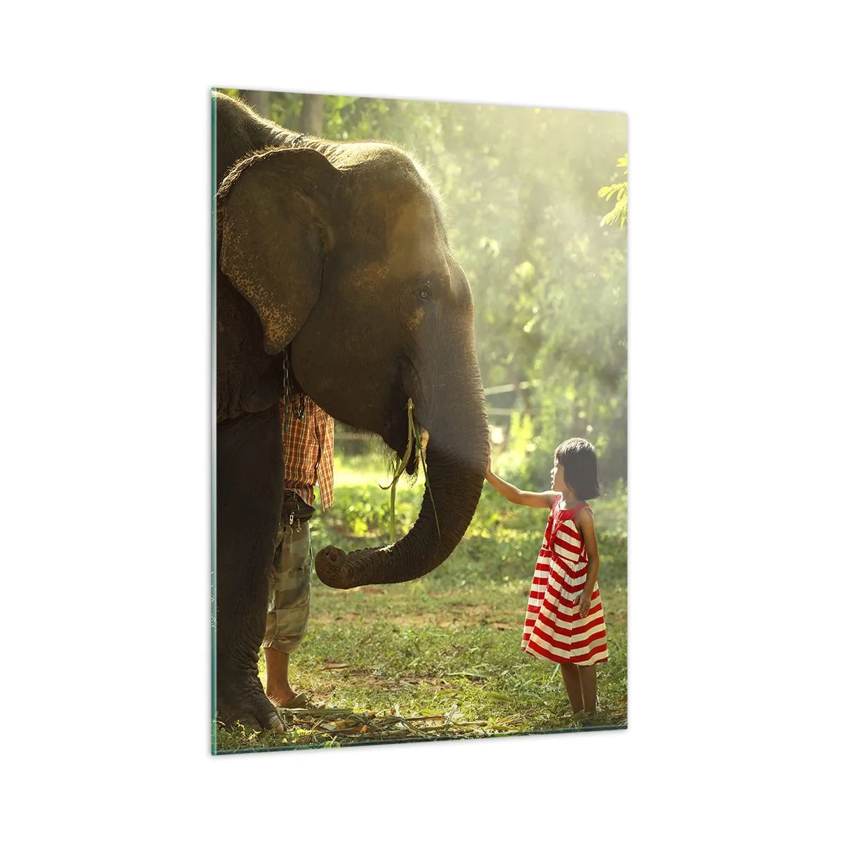 Cuadro sobre vidrio - Impresiones sobre Vidrio - Una niña con un vestido rojo tocando un elefante en el bosque. - 50x70cm - El poder de la amistad - Decoración de pared moderna para salón y dormitorio ARTTOR