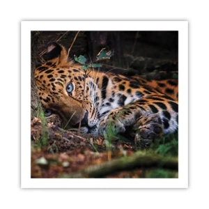 Póster - Confía en mí - 60x60 cm