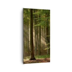 Cuadro sobre lienzo - Impresión de Imagen - Radiante en una mañana de primavera - 65x120 cm