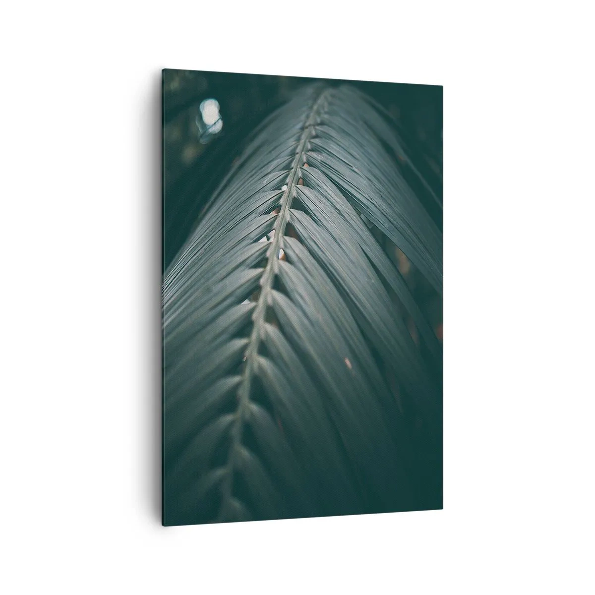 Cuadro sobre lienzo - Impresión de Imagen - Primer plano de un detalle de hoja de palma en tonos oscuros - 70x100cm - La precisión de la naturaleza - Decoración de pared moderna para salón y dormitorio ARTTOR