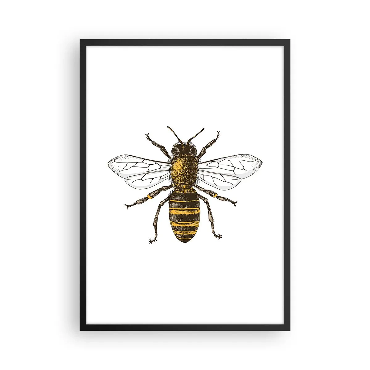 Póster en marco negro - Bondad natural - 50x70 cm