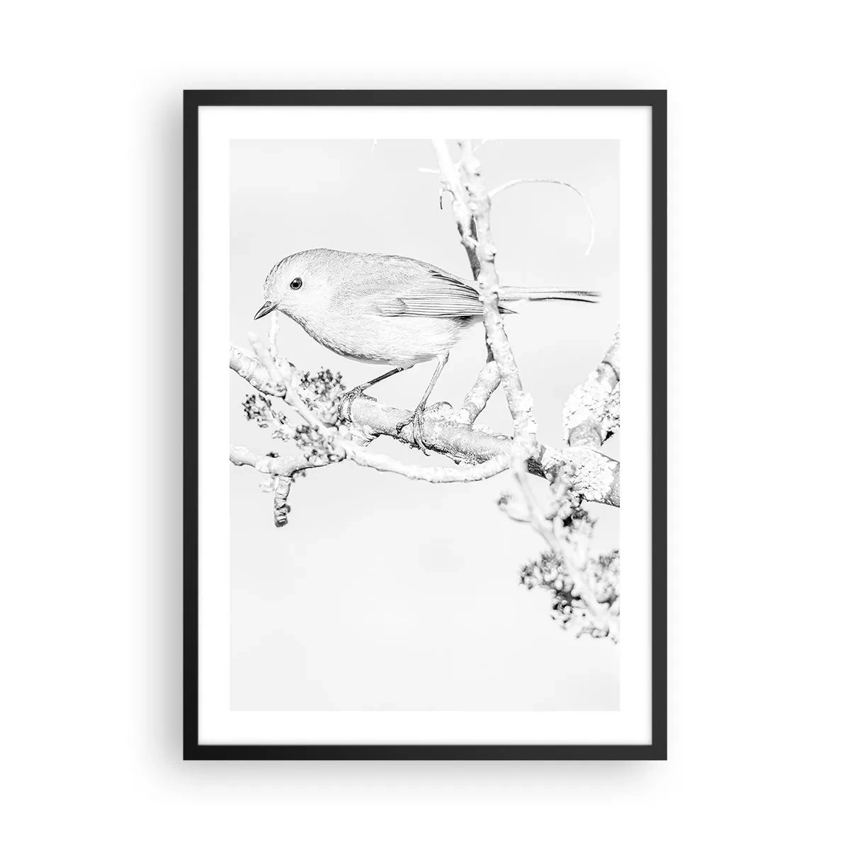 Póster en marco negro - Dibujo en blanco y negro de un pájaro en una rama. - 50x70cm - Mañana de invierno - Decoración de pared moderna para salón y dormitorio ARTTOR