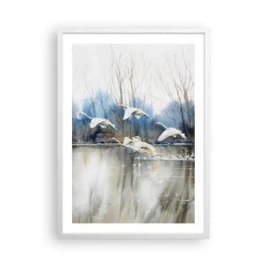 Póster en marco blanco - Como en un cuento de cisnes salvajes - 50x70 cm