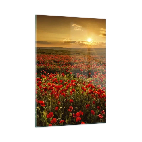 Cuadro sobre vidrio - Impresiones sobre Vidrio - Un campo de amapolas iluminado por los rayos del sol poniente. - 50x70cm - Entre los campos de flores - Decoración de pared moderna para salón y dormitorio ARTTOR