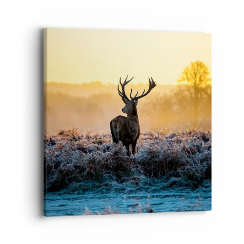 Cuadro sobre lienzo - Impresión de Imagen - Coronado en sus propios dominios - 40x40 cm