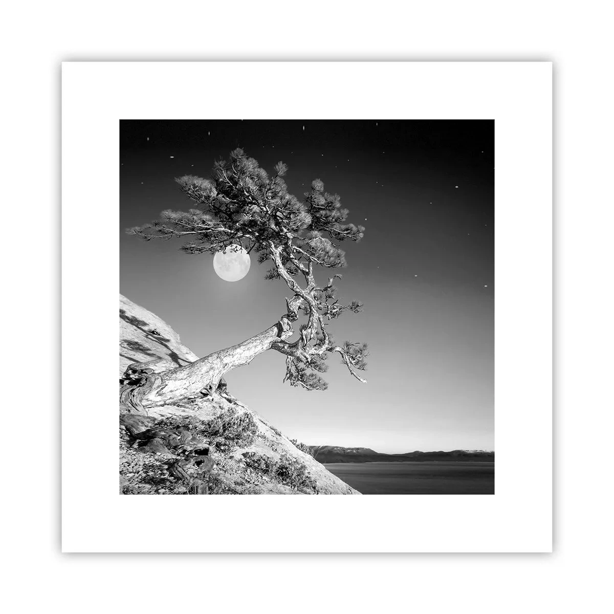 Póster - Un guerrero victorioso - 30x30 cm