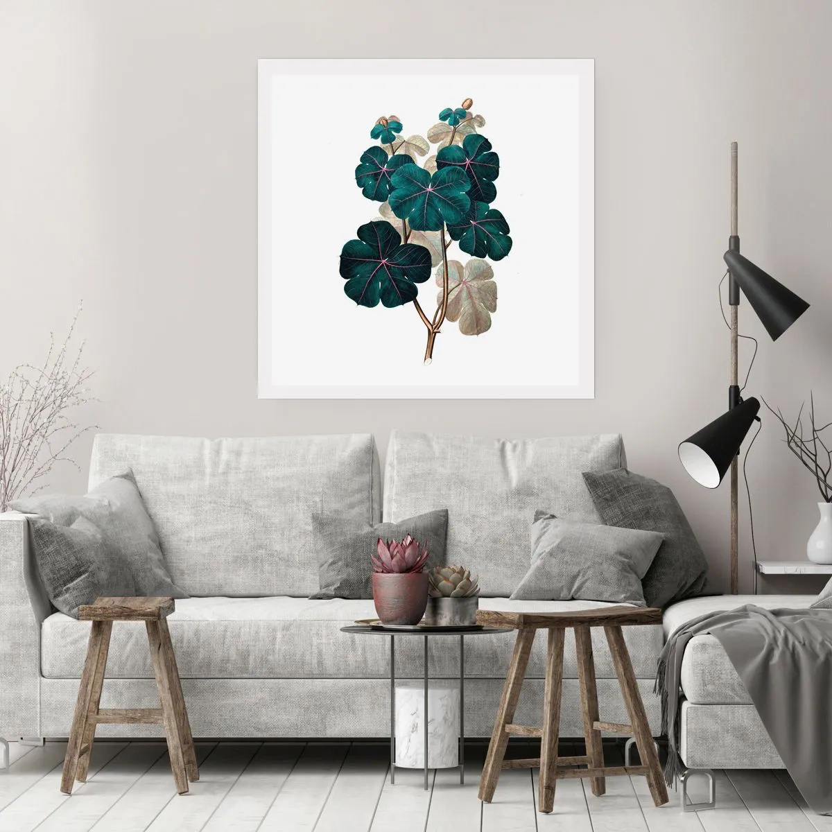 Póster - De un viejo herbario - 60x60 cm