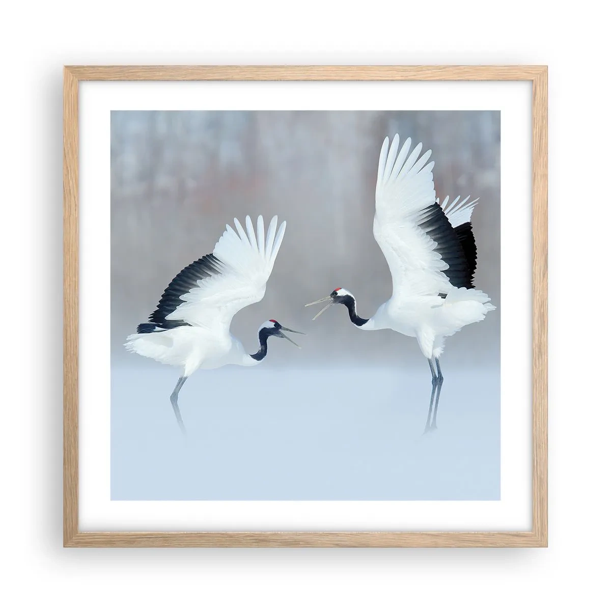 Póster en marco roble claro - Danza en la niebla - 50x50 cm