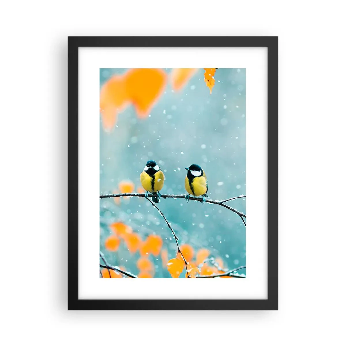 Póster en marco negro - Cotilleo de pájaros - 30x40 cm