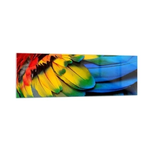 Cuadro sobre vidrio - Impresiones sobre Vidrio - Un primer plano de las coloridas plumas de un loro. - 160x50cm - Ave del paraíso - Decoración de pared moderna para salón y dormitorio ARTTOR