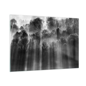 Cuadro sobre vidrio - Impresiones sobre Vidrio - Rayos de luz blancos y negros penetrando el bosque. - 100x70cm - En los flujos de luz - Decoración de pared moderna para salón y dormitorio ARTTOR