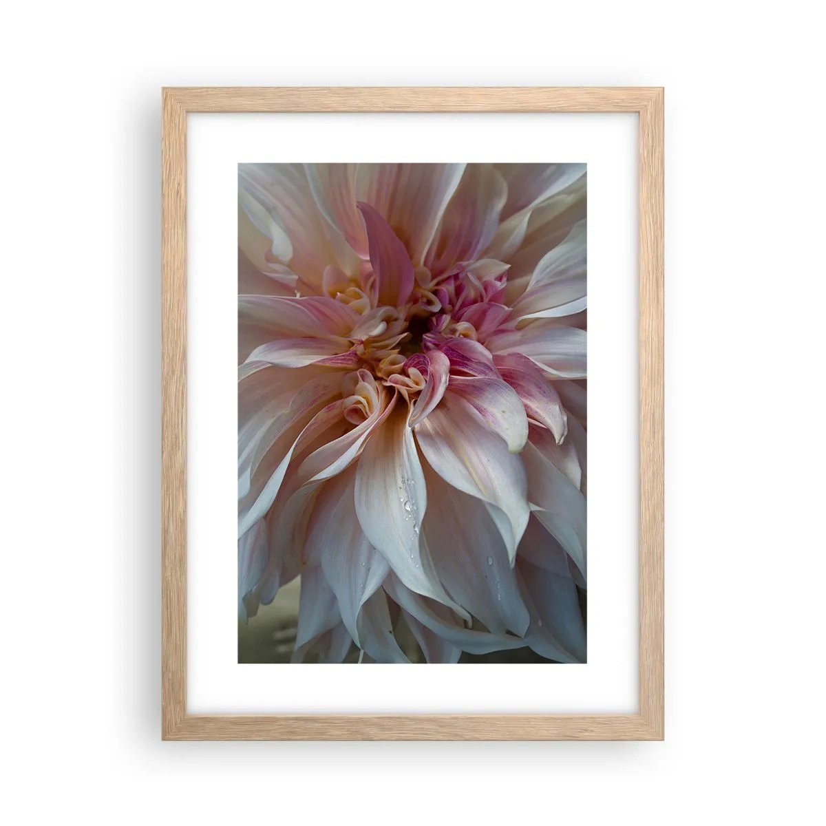 Póster en marco roble claro - Frescura floreciente - 30x40 cm