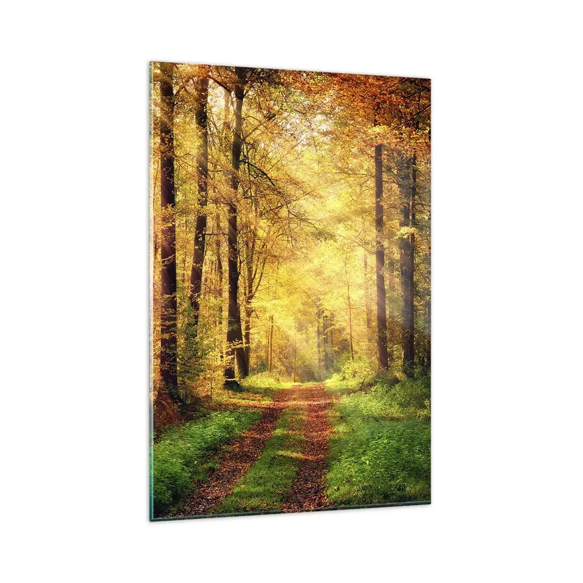 Cuadro sobre vidrio - Impresiones sobre Vidrio - Un sendero forestal rodeado de árboles dorados y verdes. - 80x120cm - Silencio dorado del bosque - Decoración de pared moderna para salón y dormitorio ARTTOR