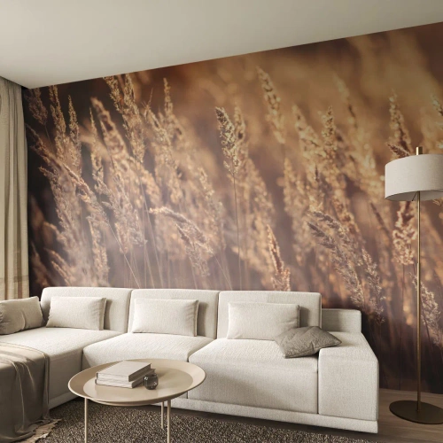 Fotomural Autadhesivo Deluxe Sticker - Listos para dar la bienvenida al otoño - Paisaje, Espigas de grano, Prado - 400x280 cm