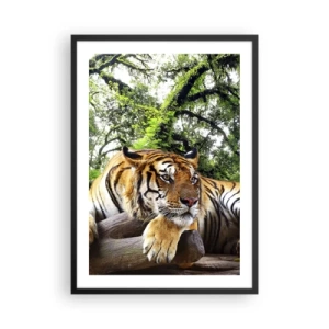 Póster en marco negro - Un tigre descansando entre los árboles verdes. - 50x70cm - Atentamente - Decoración de pared moderna para salón y dormitorio ARTTOR