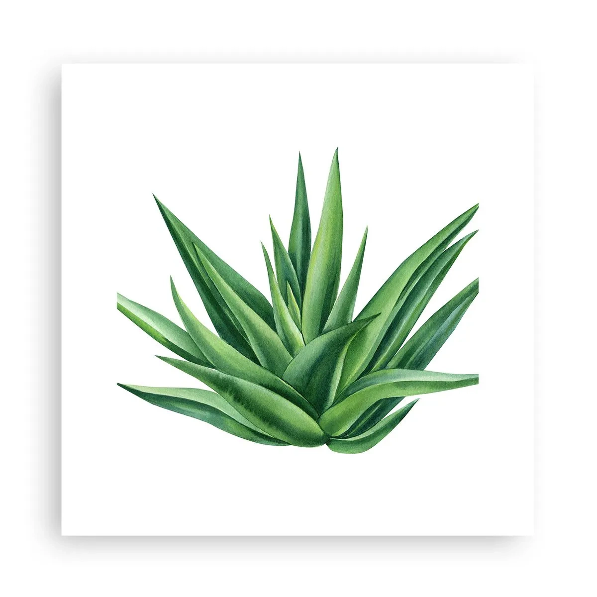 Póster - Verde - fuerza - vida - 30x30 cm