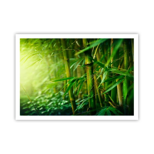 Póster - Bosque de bambú verde bajo una luz suave - 100x70cm - Conocer el propio verdor - Decoración de pared moderna para salón y dormitorio ARTTOR