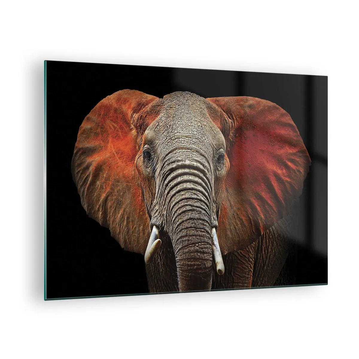 Cuadro sobre vidrio - Impresiones sobre Vidrio - Retrato de un majestuoso elefante sobre un fondo negro - 70x50cm - Soy salvaje, ¿y tú? - Decoración de pared moderna para salón y dormitorio ARTTOR
