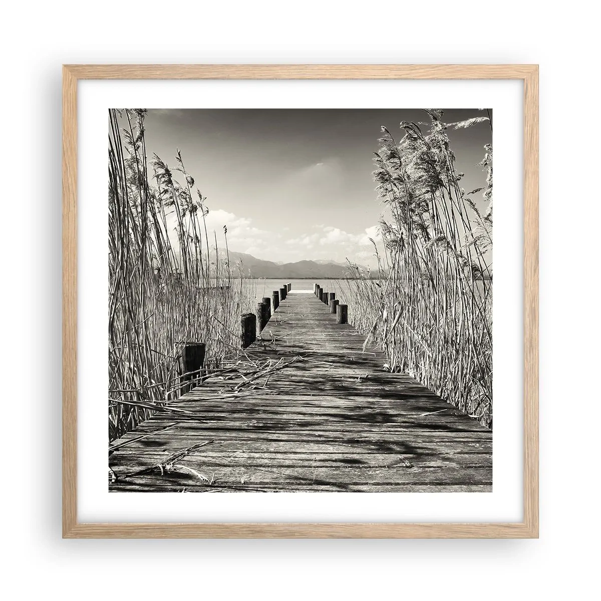 Póster en marco roble claro - En la quietud de los juncos - 50x50 cm