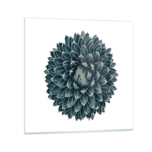 Cuadro sobre vidrio - Impresiones sobre Vidrio - Estrella del desierto - 50x50 cm