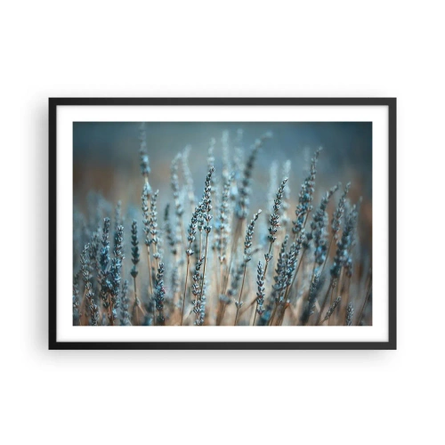 Póster en marco negro - Lavanda en el campo en sutiles tonos pastel. - 70x50cm - Fragante pasto - Decoración de pared moderna para salón y dormitorio ARTTOR