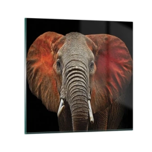 Cuadro sobre vidrio - Impresiones sobre Vidrio - Soy salvaje, ¿y tú? - 30x30 cm