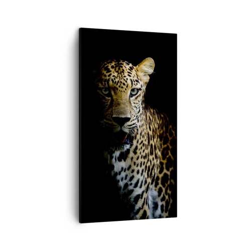 Cuadro sobre lienzo - Impresión de Imagen - Belleza oscura - 45x80 cm