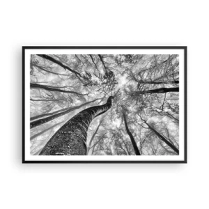 Póster en marco negro - Perspectiva de árboles en un bosque vistos desde abajo en tonos de gris. - 100x70cm - Carrera hacia la luz - Decoración de pared moderna para salón y dormitorio ARTTOR