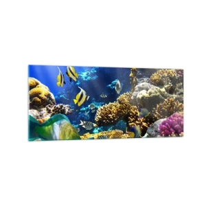 Cuadro sobre vidrio - Impresiones sobre Vidrio - Un colorido arrecife de coral con peces tropicales en las profundidades del océano. - 120x50cm - Vacaciones submarinas - Decoración de pared moderna para salón y dormitorio ARTTOR