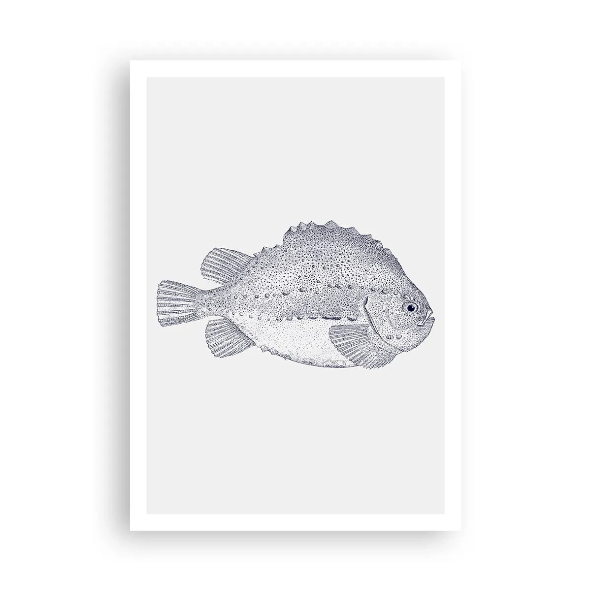 Póster - Para el álbum del naturalista - 70x100 cm