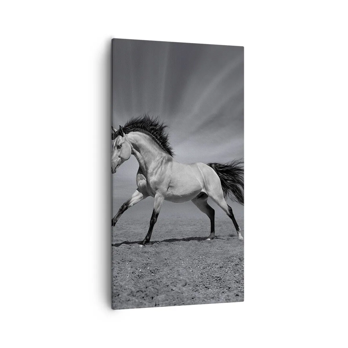 Cuadro sobre lienzo - Impresión de Imagen - Nacido para deleitar - 55x100 cm