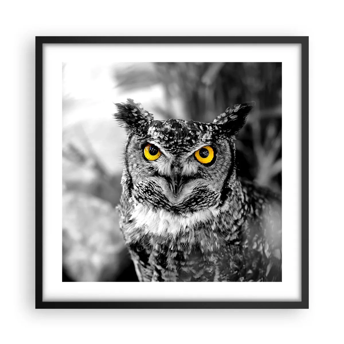 Póster en marco negro - Nada se puede ocultar - 50x50 cm