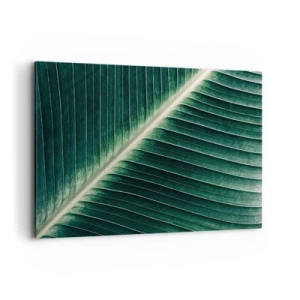 Cuadro sobre lienzo - Impresión de Imagen - Primer plano de la estructura de una hoja verde. - 120x80cm - El ritmo de la naturaleza - Decoración de pared moderna para salón y dormitorio ARTTOR