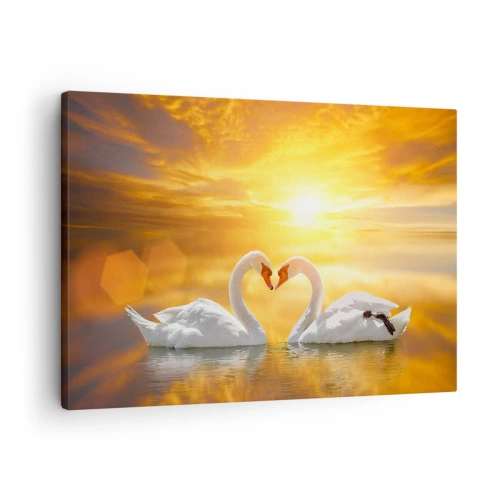 Cuadro sobre lienzo - Impresión de Imagen - Una escena romántica de dos cisnes formando un corazón con el telón de fondo de una puesta de sol dorada. - 70x50cm - Corazón es la palabra más bella del mundo…