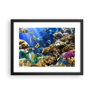 Póster en marco negro - Vacaciones submarinas - 40x30 cm