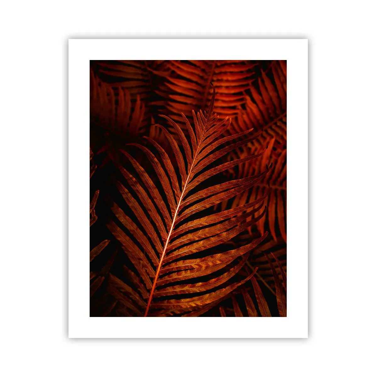 Póster - Las brasas de la vida - 40x50 cm