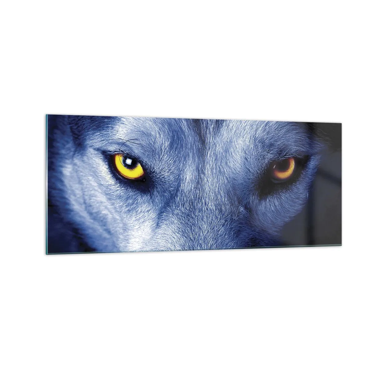 Cuadro sobre vidrio - Impresiones sobre Vidrio - La mirada hipnótica - 100x40 cm