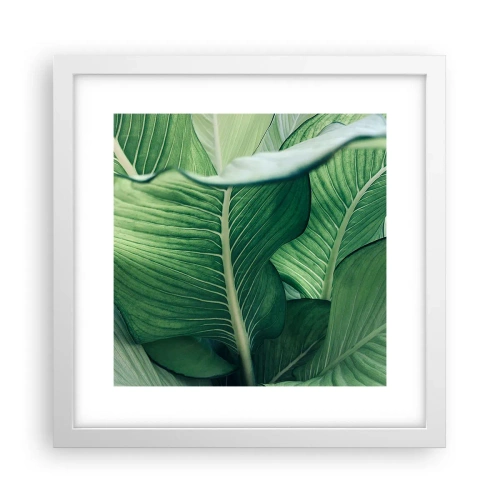 Póster en marco blanco - Vida intensamente verde - 30x30 cm