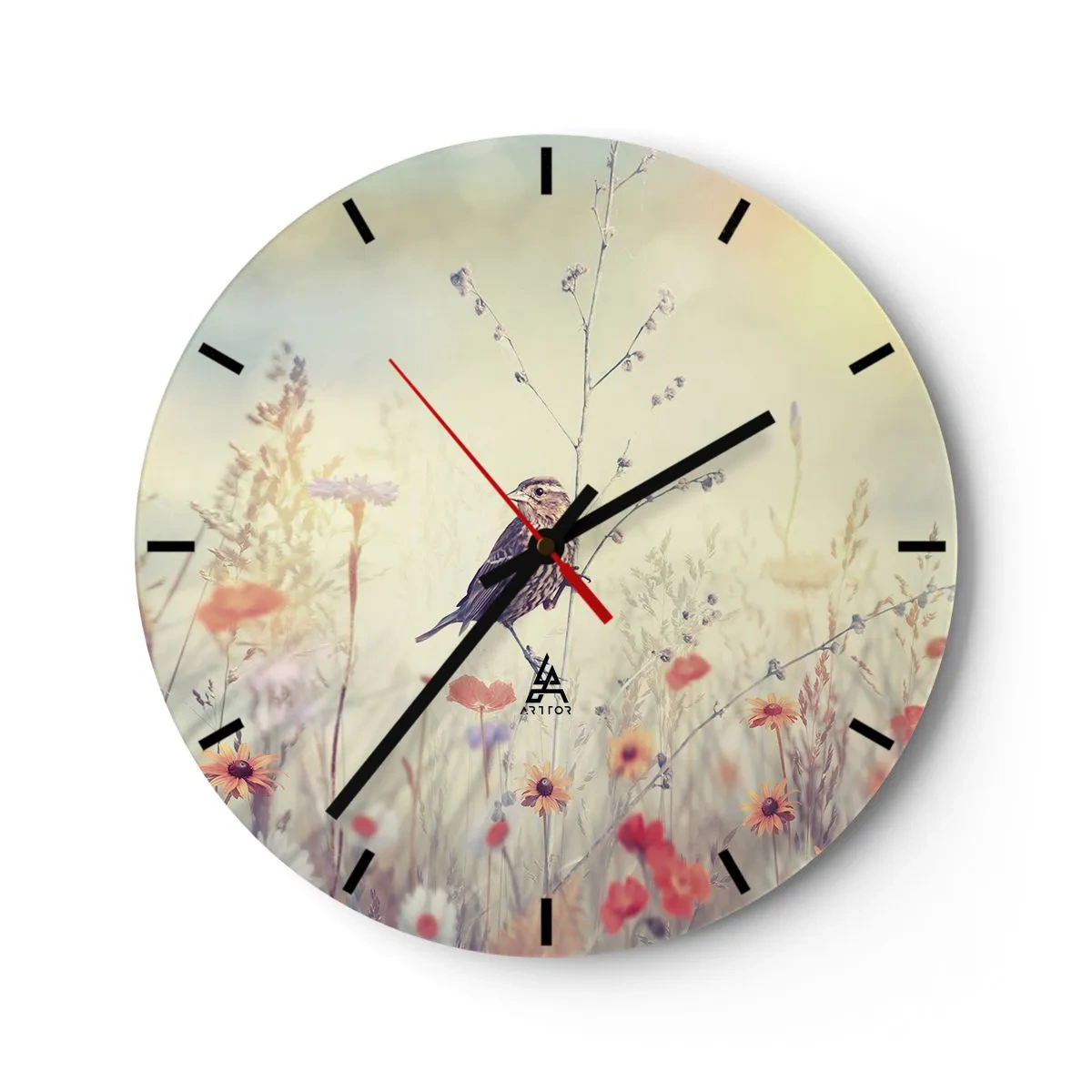 Reloj de pared - Reloj de vidrio - Retrato de pájaro con prado de fondo - 40x40 cm