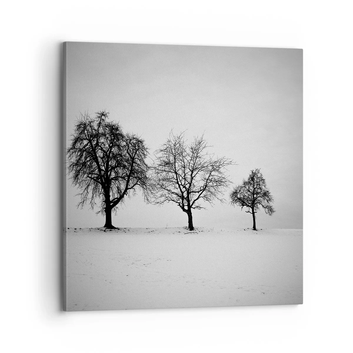 Cuadro sobre lienzo - Impresión de Imagen - ¿Con qué sueñan? - 70x70 cm